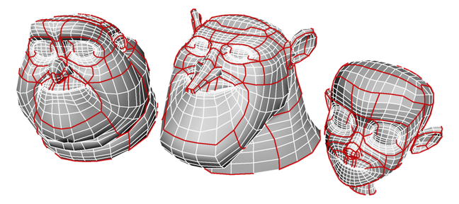 Three geometrically different model heads with isomorphic meshes