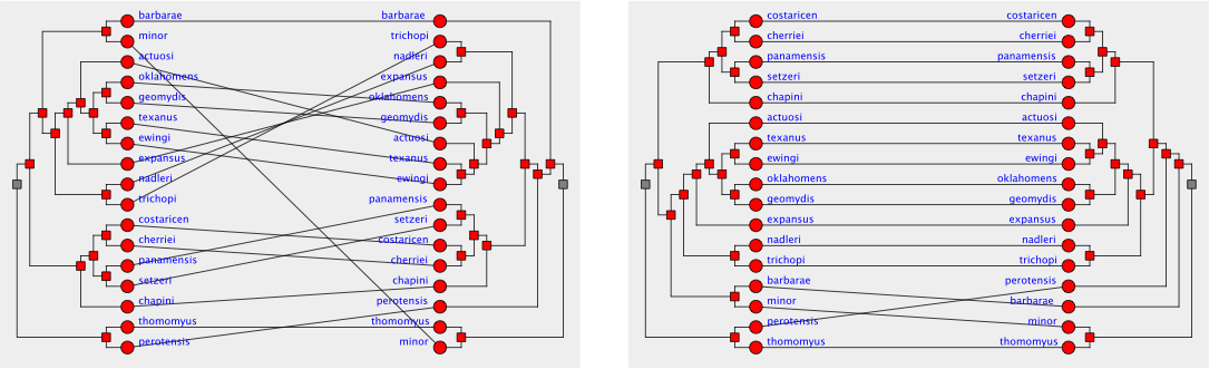 comparison of two layouts for a tanglegram showing a phylogenetic comparison of 17 pocket gopher louse species