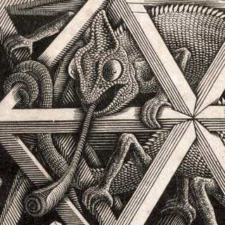 The chameleon's tongue, detail from Escher's Stars